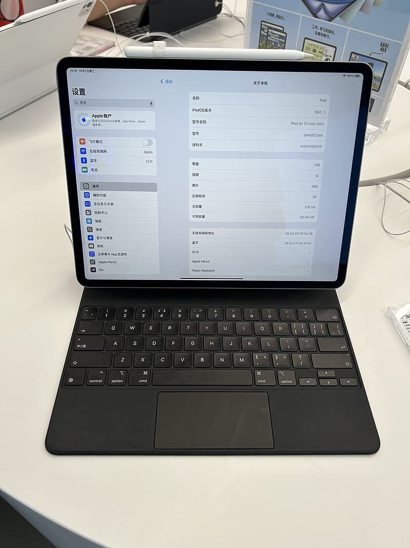 Apple iPad Air M3 11-inch